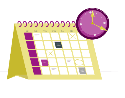 Cronograma de evolução